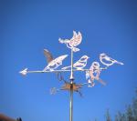 Oiseaux mésanges bleues et colombe