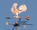 Le gros coq