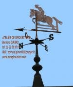 La cavaliere de saut d'obstacles